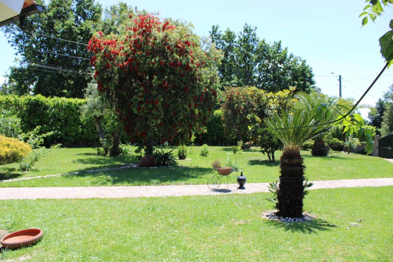 The Oak'S Wolf-Country House Fafe Esterno foto