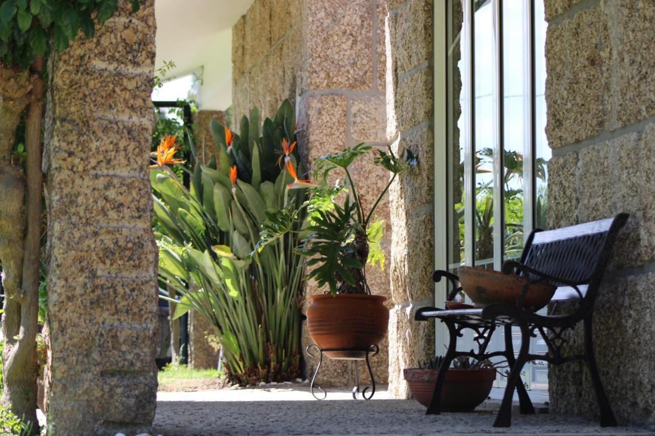 The Oak'S Wolf-Country House Fafe Esterno foto